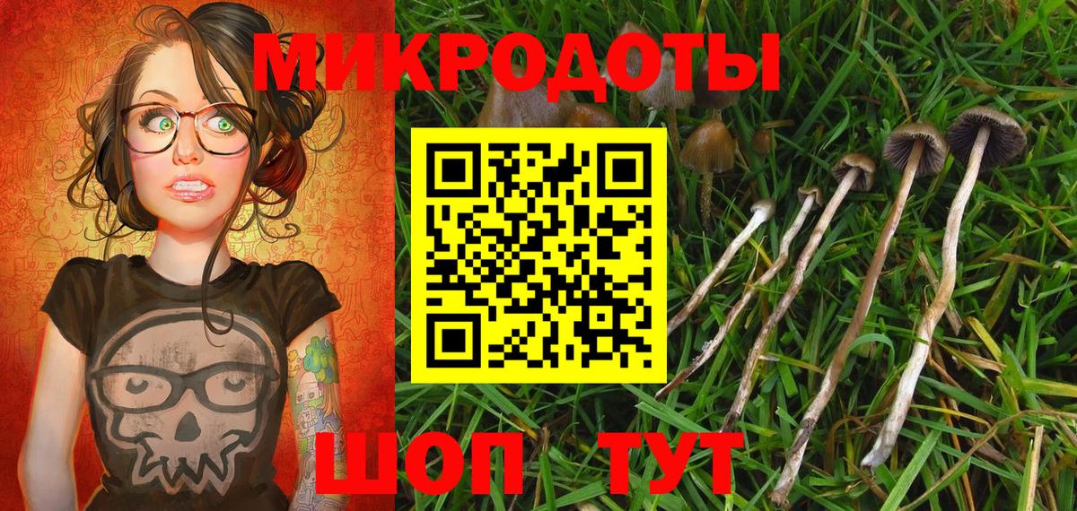 Киселёвск  Галлюциногенные грибы мицелий  Вход с VPN 